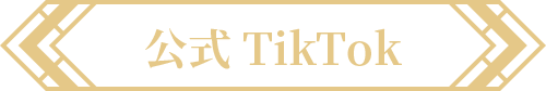 公式 TikTok